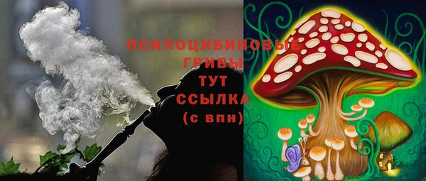 СК Алексеевка