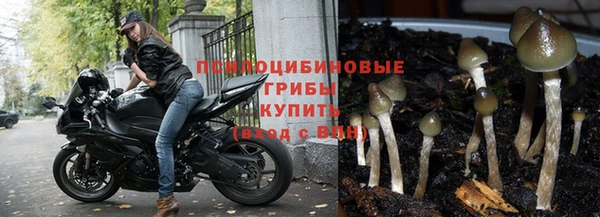 стафф Абаза