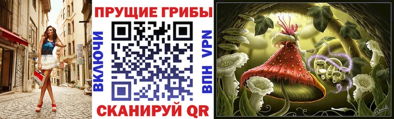 Галлюциногенные грибы прущие грибы  кракен зеркало  Иваново  дарнет шоп 